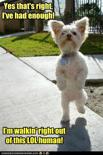 Explore this and other elements of memes in this three day mini course. I Has A Hotdog - goodbye - Funny Dog Pictures | Dog Memes