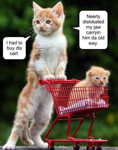 It doesn't take long before the newest memes are inspi. It Was a Medical Necessity - Lolcats - lol | cat memes | funny cats | funny cat pictures with