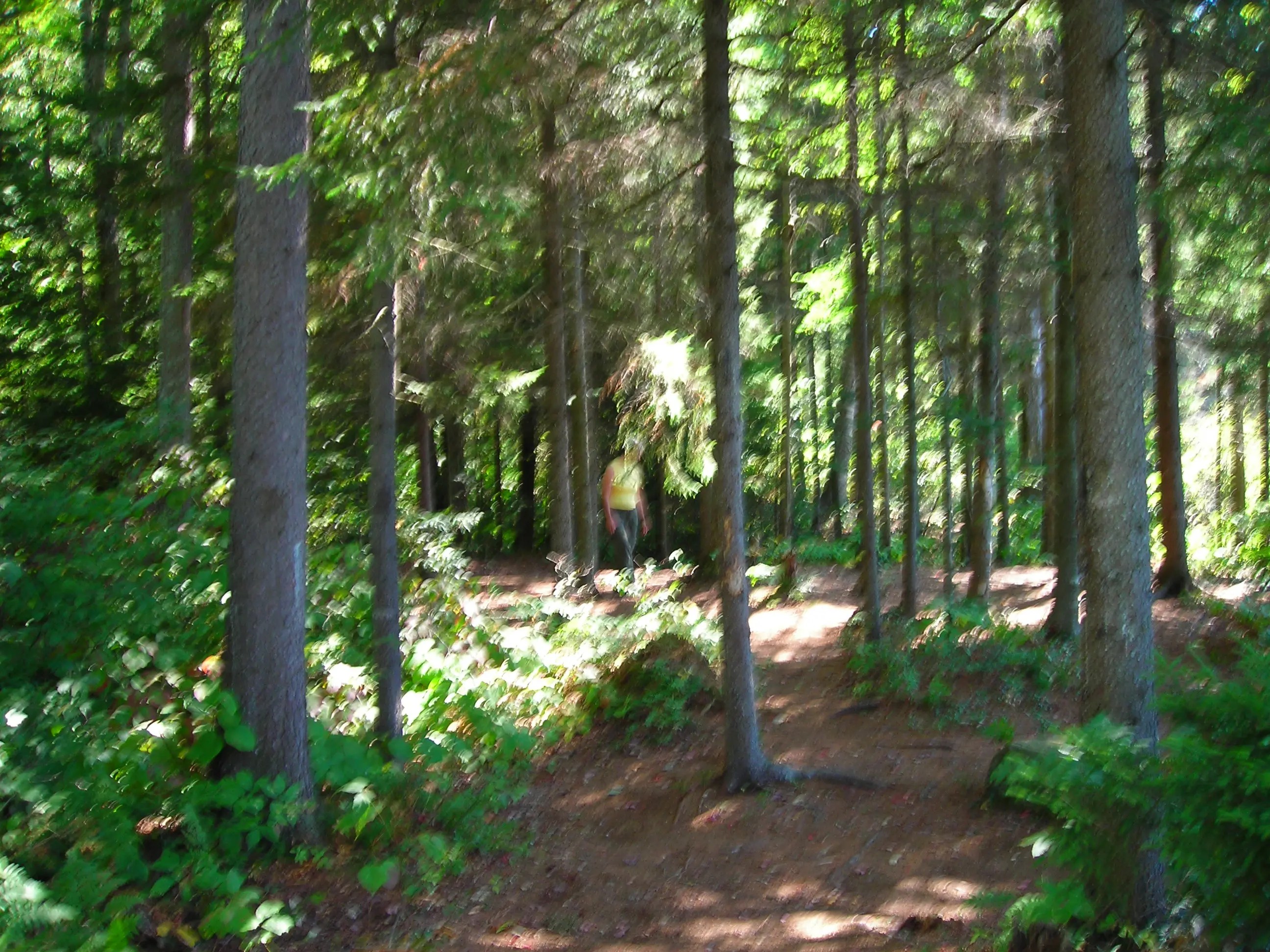 DSCN0947