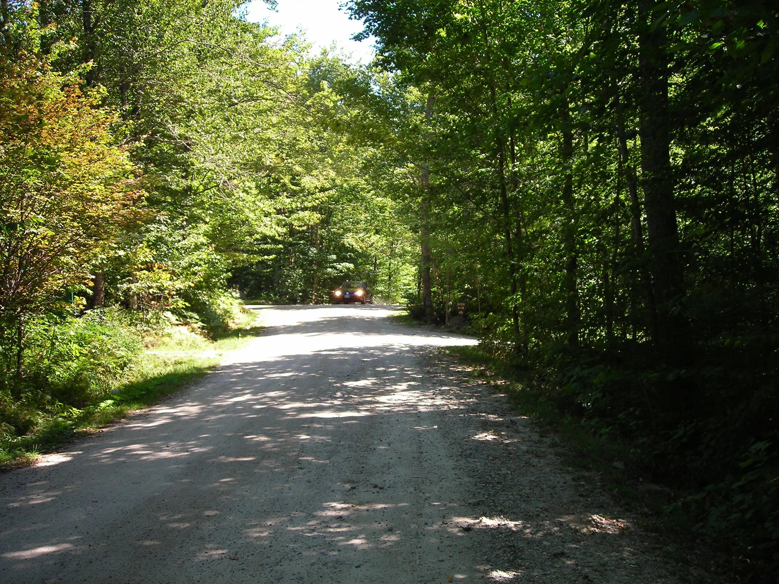 DSCN0965