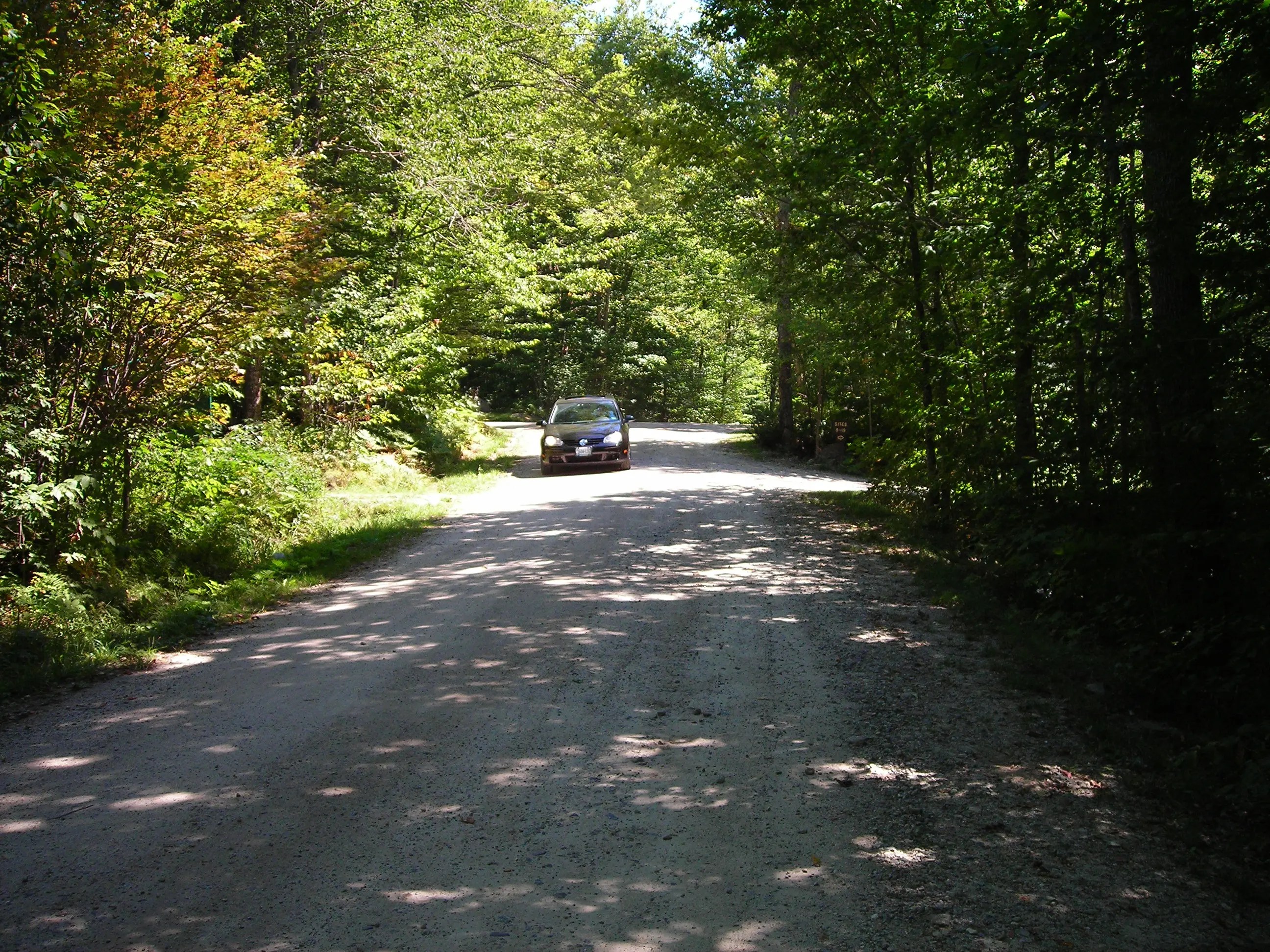 DSCN0971