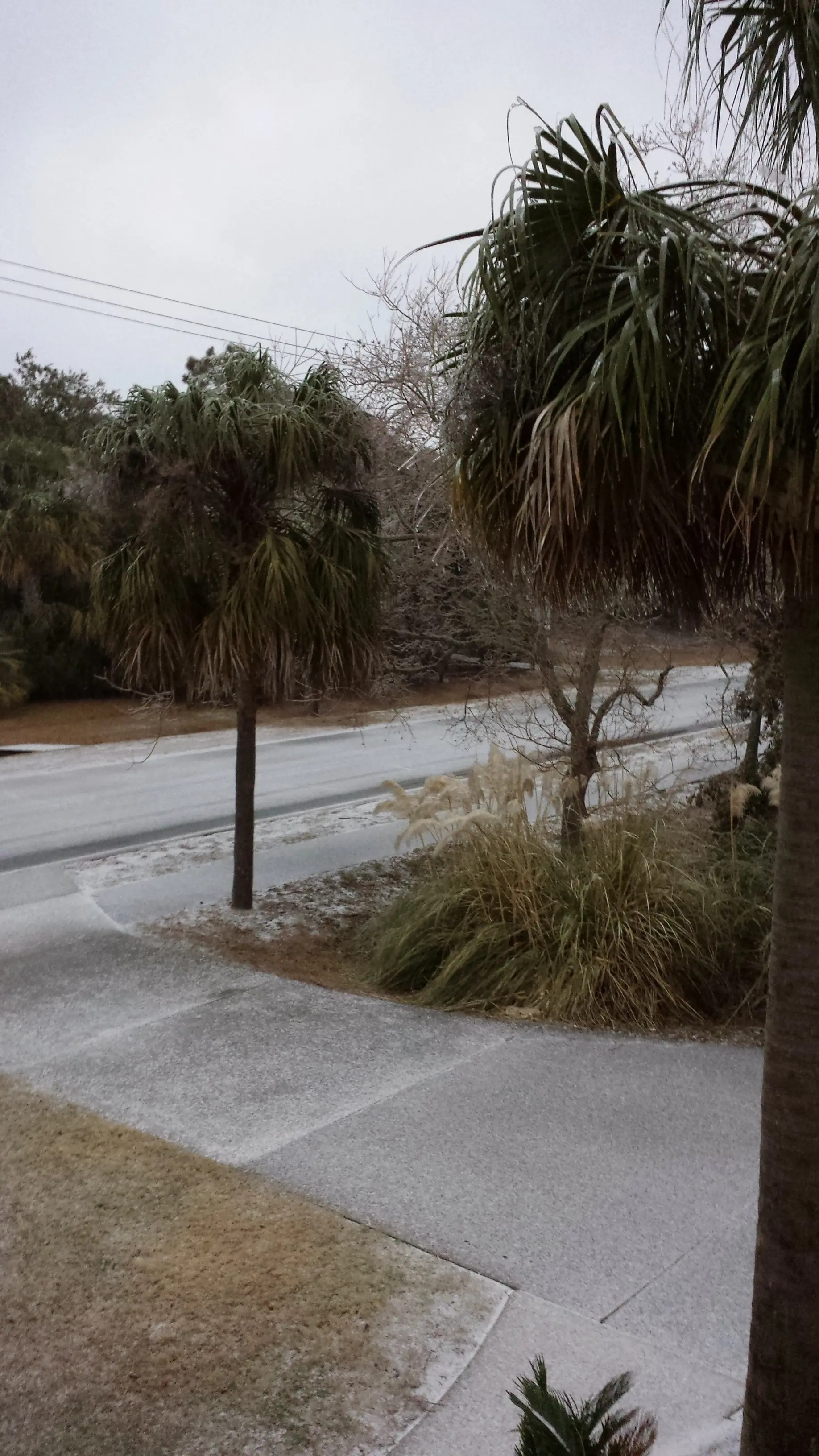 It's icy out there