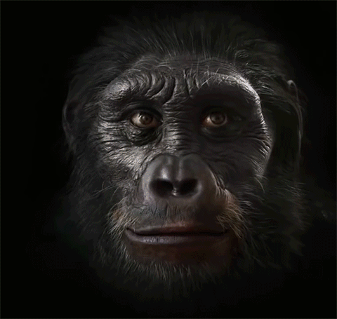 Human Faces Gifs Get The Best Gif On Gifer