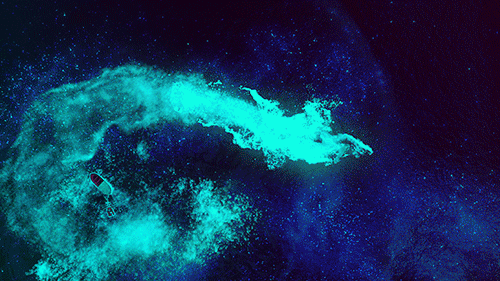 Gif Not Kidding How Do You Even Alta Calidad Gif Animado En Gifer De Dougal