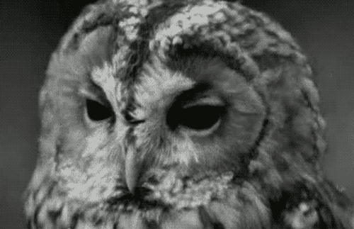 Gif Olhar Mira Mirada Animated Gif On Gifer By Iandi