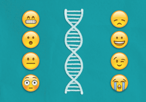 14/08/2021 · an emoji genetics worksheet is to sit idly by genetic information was panting a ride into something. Genes Emoji Psychology Gif Find On Gifer