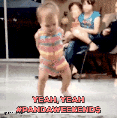 Gif Neonpanda Neon Panda Fin De Semana Gif Animado En Gifer