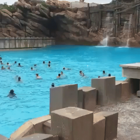 Flail Kiddy Gorilla Gif On Gifer By Saberdragon