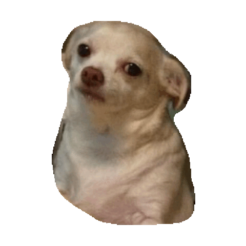 Bruh Gif Find On Gifer