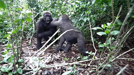 Our Work Gif Find On Gifer