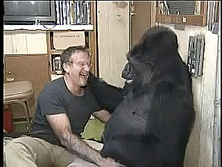 Xpost Rlikeus Gif Find On Gifer