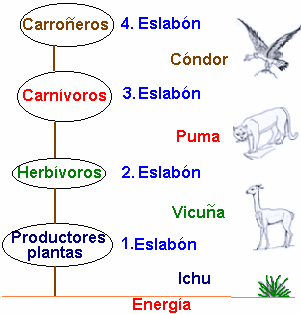 2010 Gif Find On Gifer