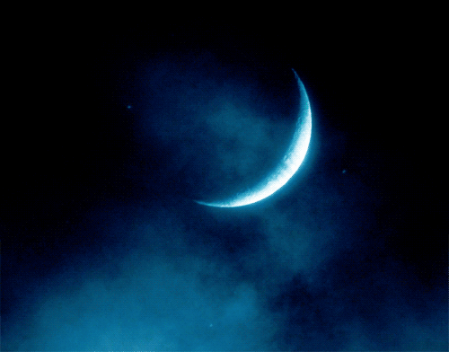 Gif Chesire Cat Love Moon Animated Gif On Gifer By Yozshuzilkree