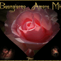 Gif Amore Amour Animated Gif On Gifer