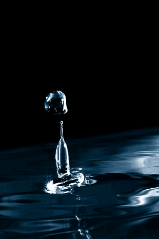 Emu Gif Find On Gifer