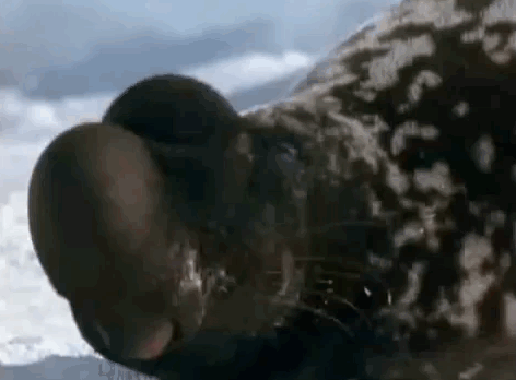 Imagen Verdadero Gif Buscar En Gifer