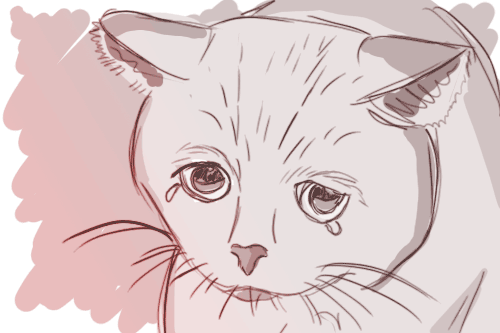 Imt Hoppip Gata Gif Find On Gifer