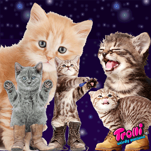 Trolli National Cat Day Gif Find On Gifer