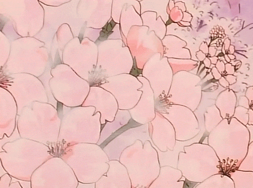 Aesthetic, blue, and pale image. Flower Someone Gif Find On Gifer