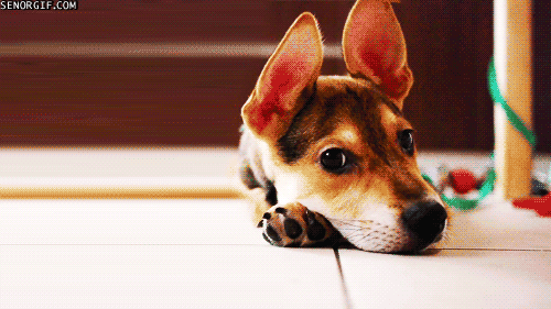 Ojos Olhos Looking Up Gif Find On Gifer