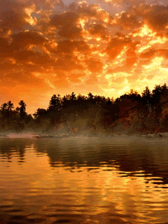 Naturaleza Natureza Nature Gif Find On Gifer