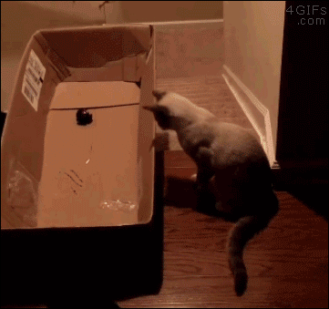 Make Carcajada Forma Gif Find On Gifer