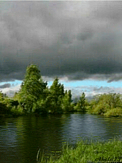 Naturaleza Natureza Nature Gif Find On Gifer
