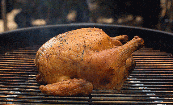 Chicken Gallina Pollo Gif Find On Gifer