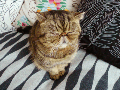 Viernes Friday Vendredi Gif Find On Gifer