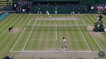 With his ball bouncing habit, as he revealed he used to follow a curious routine as he used to have a different bounce count for each side of the court. Funny Gifs Djokovic Gif Vsgif Com