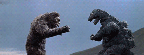 Funny Gifs Fighting Gif Vsgif Com