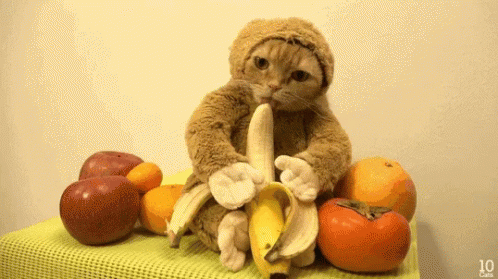 Banana Suit Gifs Hole Dir Die Besten Gifs Auf Gifer