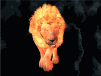 Lion Gifs Get The Best Gif On Gifer