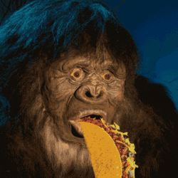 Hey Reddit We Re Giphy Let S Talk About Gifs R Iama