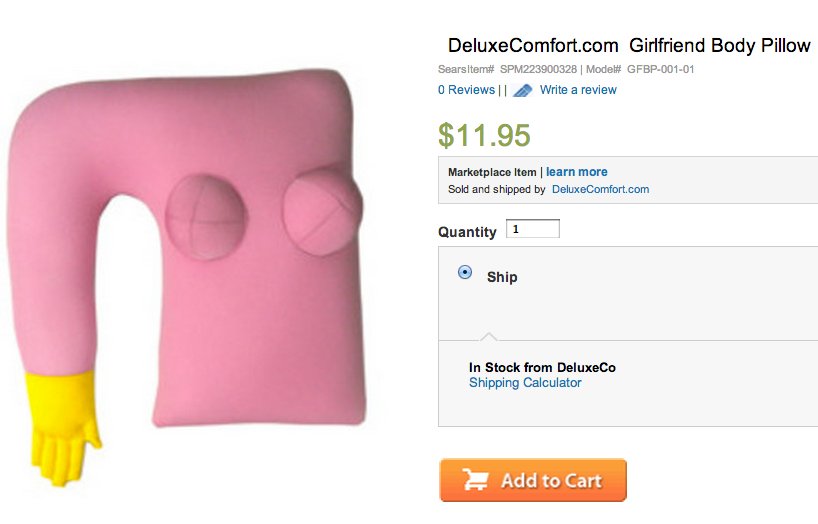 Girlfriend Body Pillow, Saddest 'Human Being Substitute