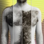 Jepes dForce Omni Body Hair Sets For Genesis 8.1 Malesnew Jepes dForce Omni Body Hair Sets For Genesis 8.1 Malesnew