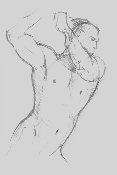 How to draw manga anime men's muscle technique book pose collection from slim to macho 男の筋肉 描きわけポーズ集 スリムからマッチョまで カネダ工房 on . Male Torso Sketch I Canvas Art Print By Jacob Green Icanvas