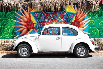Volkswagen golf · pink beetle. White Vw Beetle Car In Cancun Ca Canvas Artwork Philippe Hugonnard
