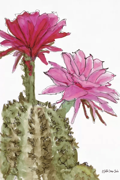 Shop for cactus flower wall art from the world's greatest living artists. Cactus Flower Ii Canvas Print By Stellar Design Studio Icanvas