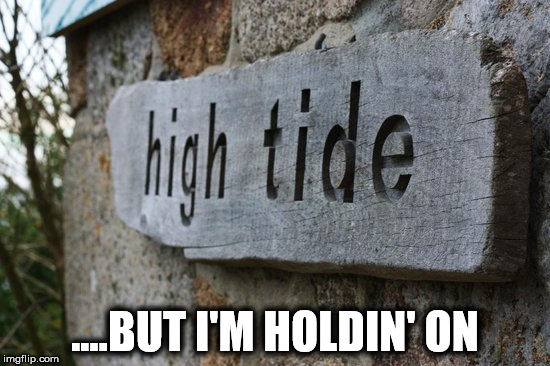 Buy muthafuckin tide by aldeenie as a sticker. Tide Memes Gifs Imgflip