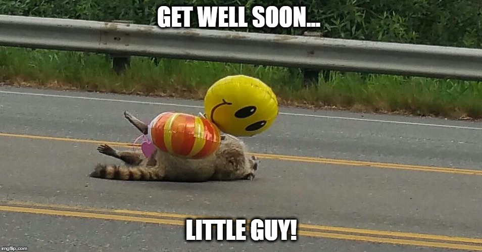Images tagged get well soon. Get Well Soon Memes Gifs Imgflip
