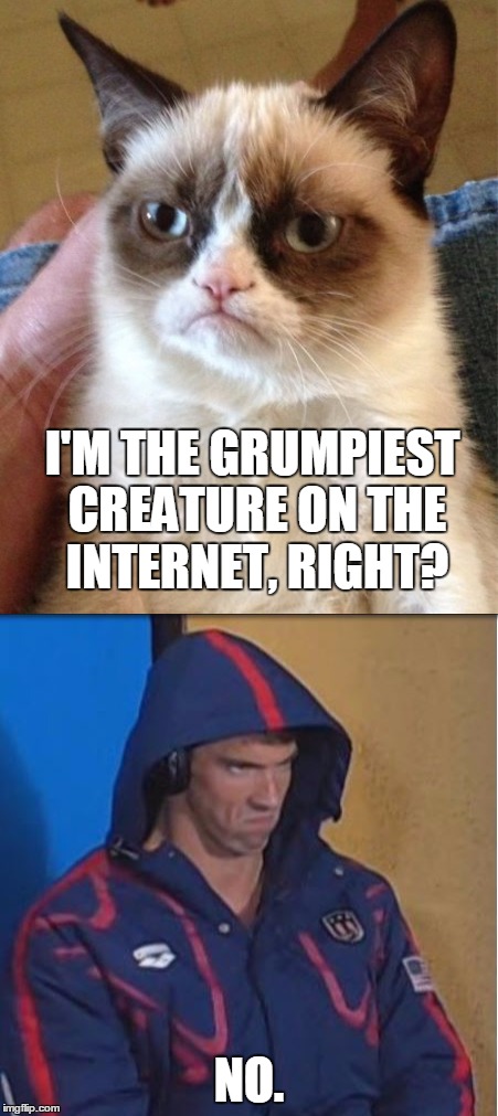 Memes are viral curiosities that spread through hyperlinks and email. Grumpy Cat vs PhelpsFace - Imgflip