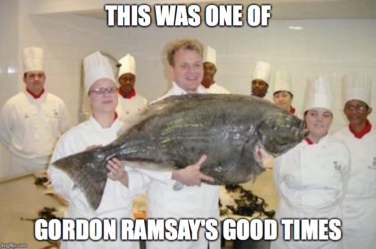 Gordon Ramsay Memes Template . Chef Ramsay With Fish - Imgflip