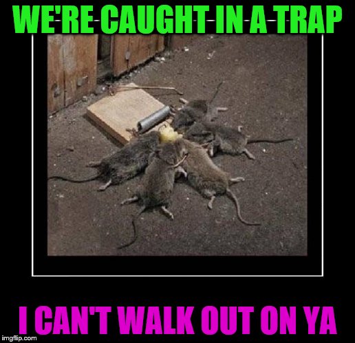 Me.me tuesday is some people's favorite day of the week. Because I love you too much baby - Imgflip