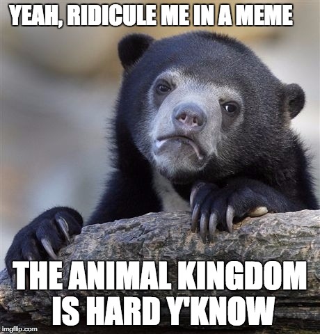 It is a vast topic that covers all there is to know about the many different animals on our planet. Confession Bear Meme Imgflip