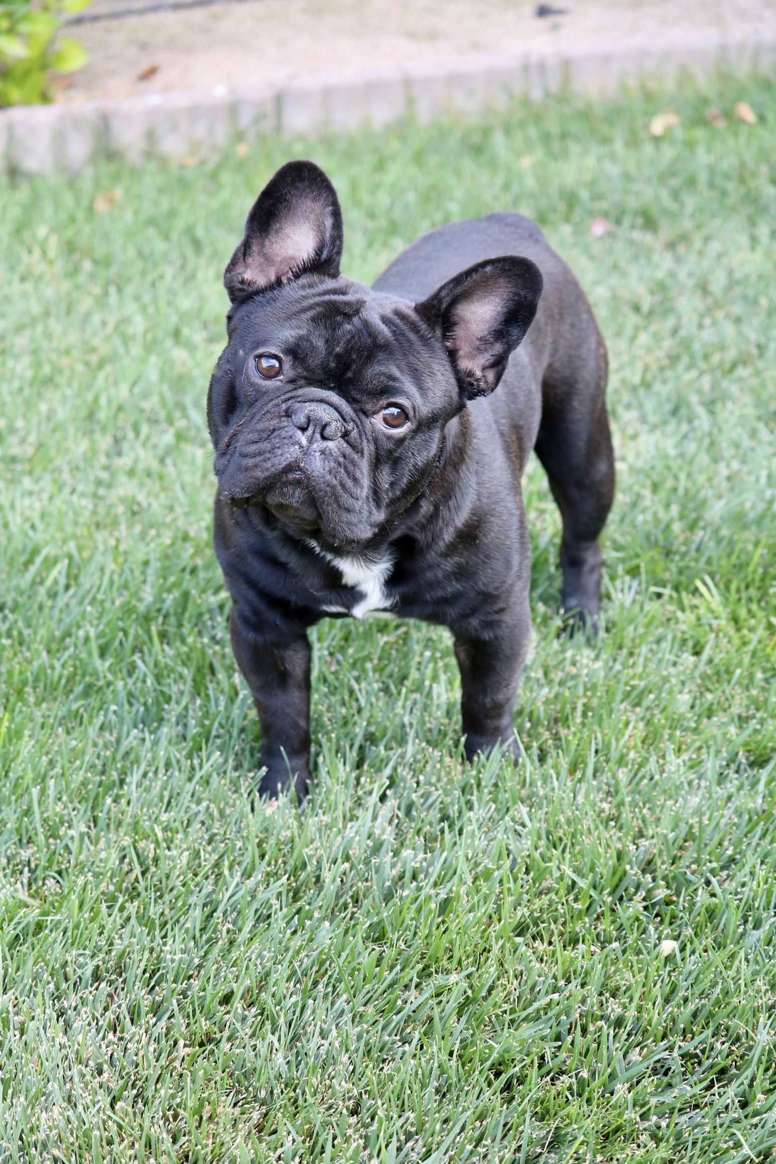 "hole" Meme Templates Imgflip