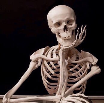 Make skeleton waiting memes or upload your own images to make custom memes. Waiting Skeleton Blank Template Imgflip