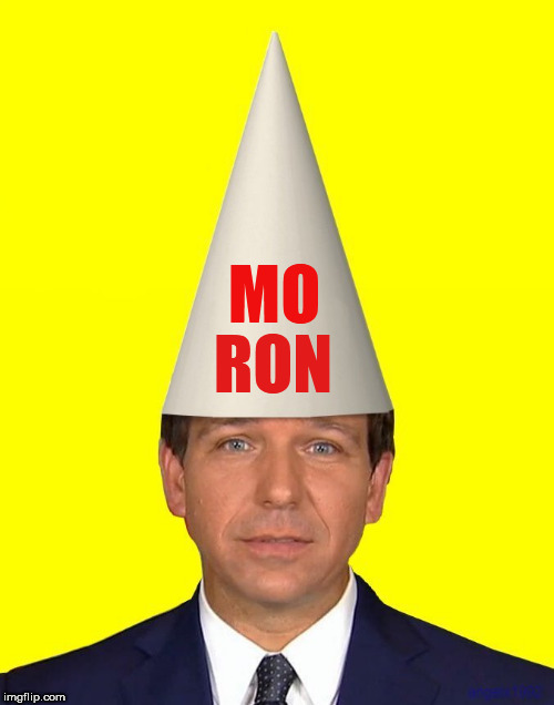 Ron Desantis Meme - Image tagged in ron desantis,moron,florida,governor,racist ...