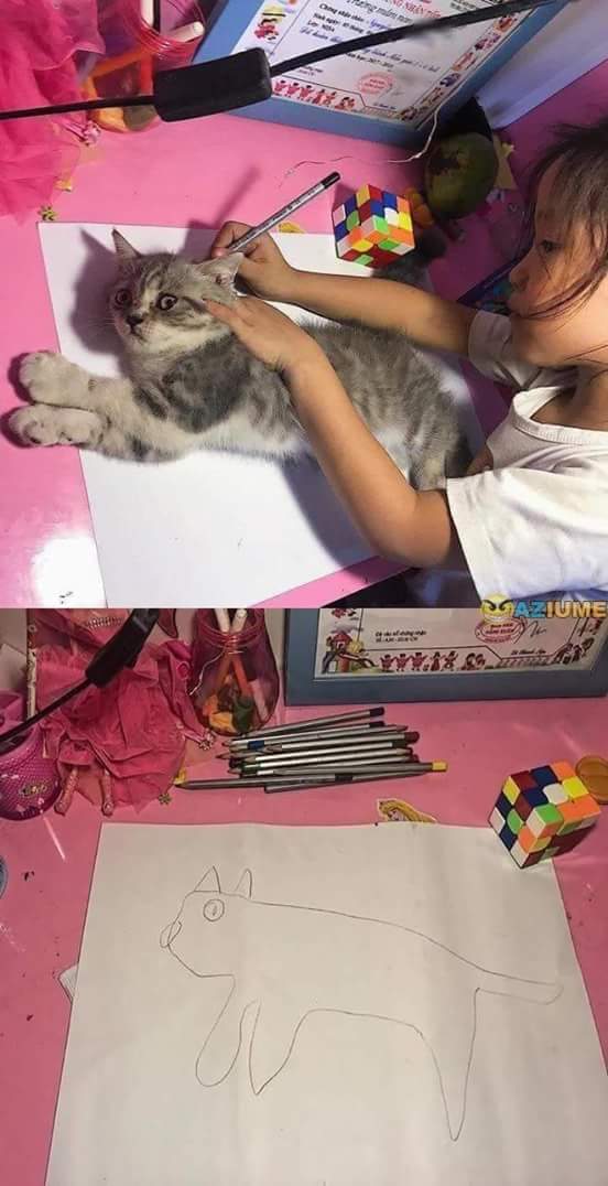 How to draw a cute cartoon cat step by step for kids would you like to learn to draw a kitten? Kid Drawing Cat Blank Template Imgflip