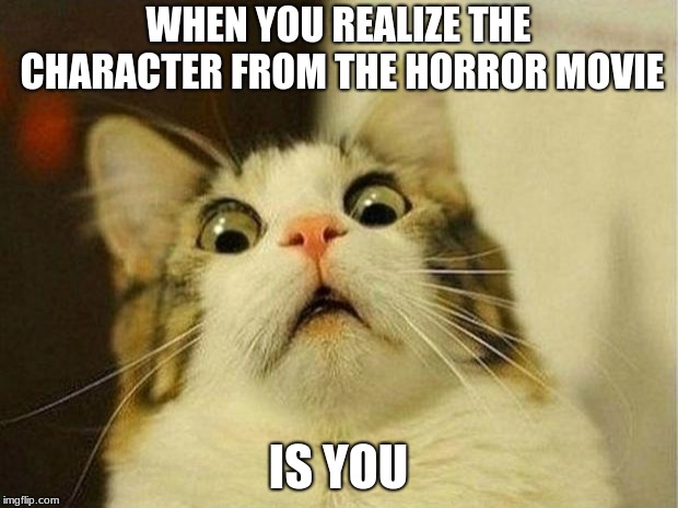 That adrenaline rush from fear is only a small part of horror's appeal. Horror Movie Cats Imgflip